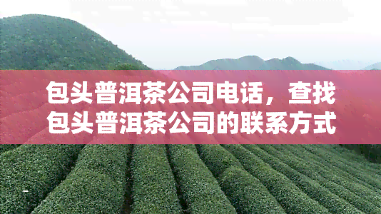 包头普洱茶公司电话，查找包头普洱茶公司的联系方式？电话查询全在这里！