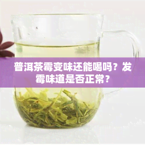 普洱茶霉变味还能喝吗？发霉味道是否正常？