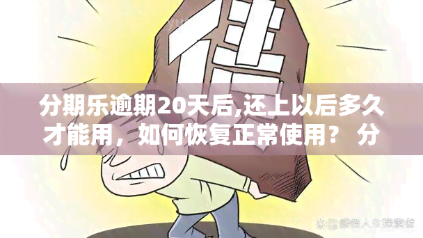 分期乐逾期20天后,还上以后多久才能用，如何恢复正常使用？ 分期乐逾期20天后还款后的使用恢复时间