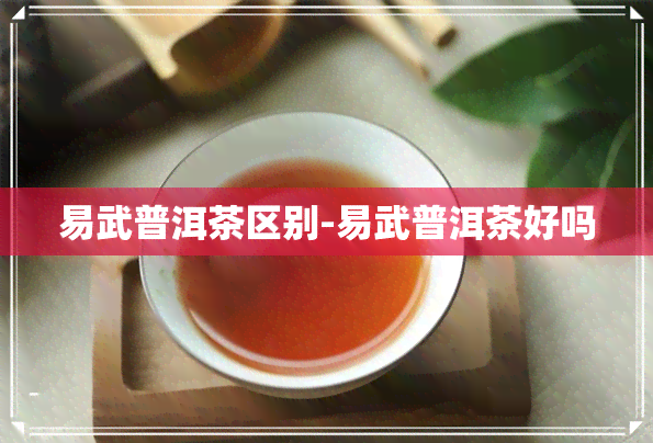 易武普洱茶区别-易武普洱茶好吗