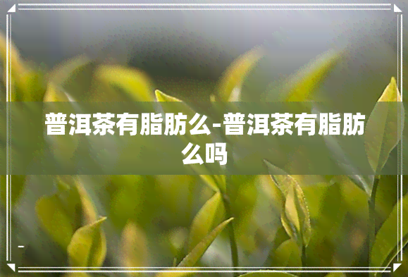 普洱茶有脂肪么-普洱茶有脂肪么吗