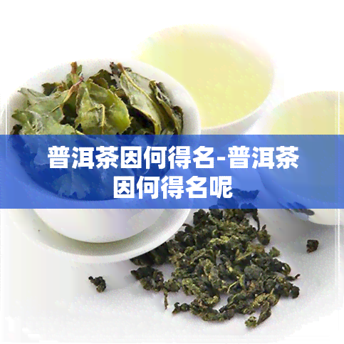 普洱茶因何得名-普洱茶因何得名呢