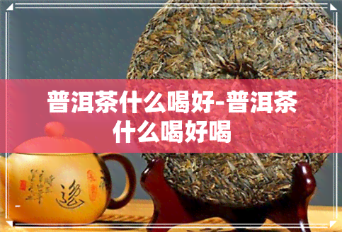 普洱茶什么喝好-普洱茶什么喝好喝