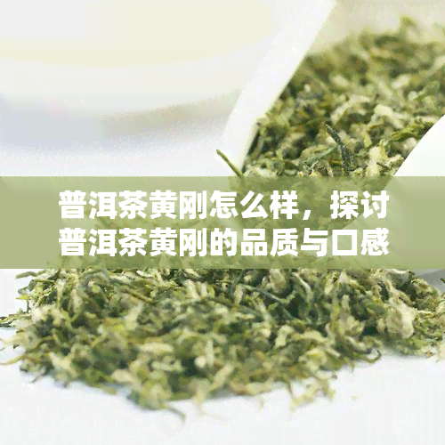 普洱茶黄刚怎么样，探讨普洱茶黄刚的品质与口感，你喝过吗？