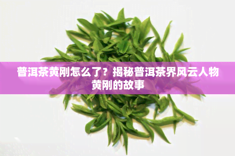 普洱茶黄刚怎么了？揭秘普洱茶界风云人物黄刚的故事