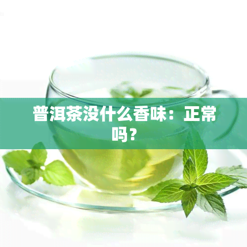 普洱茶没什么香味：正常吗？