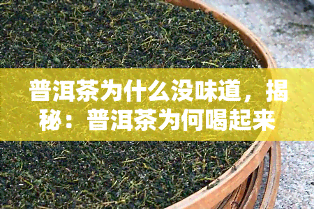 普洱茶为什么没味道，揭秘：普洱茶为何喝起来没有明显味道？