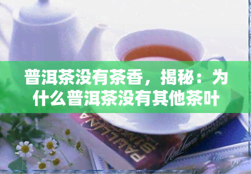 普洱茶没有茶香，揭秘：为什么普洱茶没有其他茶叶的茶香？