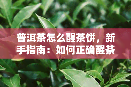 普洱茶怎么醒茶饼，新手指南：如何正确醒茶饼——以普洱茶为例