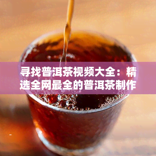 寻找普洱茶视频大全：精选全网最全的普洱茶制作、品鉴、知识教程等视频合集，免费！