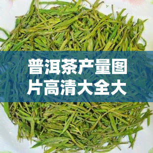 普洱茶产量图片高清大全大图