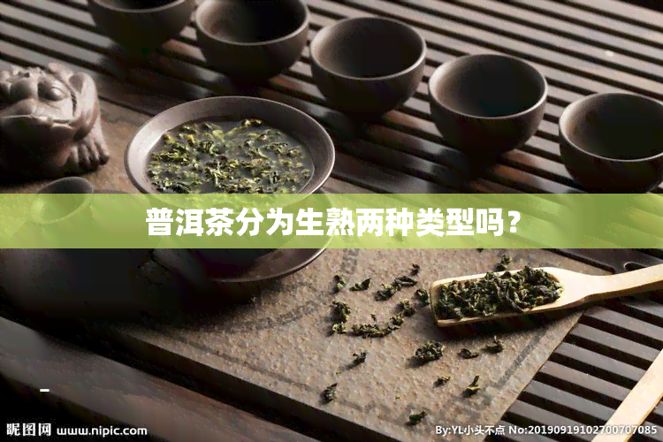 普洱茶分为生熟两种类型吗？