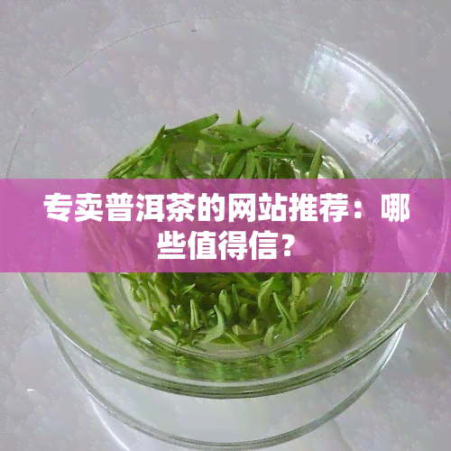 专卖普洱茶的网站推荐：哪些值得信？