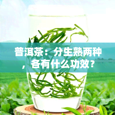 普洱茶：分生熟两种，各有什么功效？