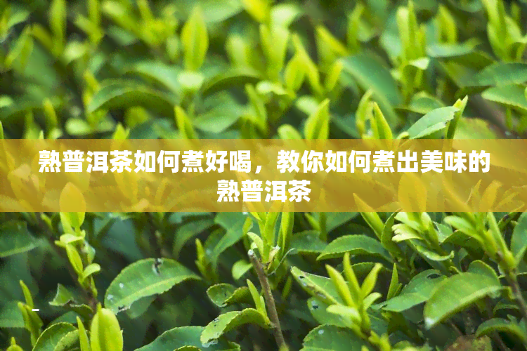 熟普洱茶如何煮好喝，教你如何煮出美味的熟普洱茶