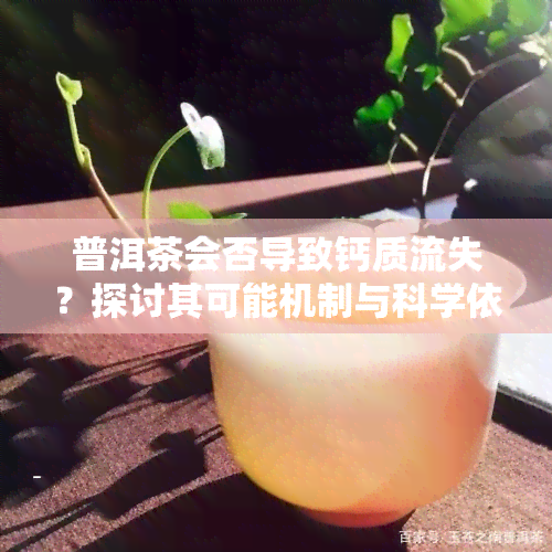 普洱茶会否导致钙质流失？探讨其可能机制与科学依据