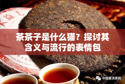 茶茶子是什么猫？探讨其含义与流行的表情包