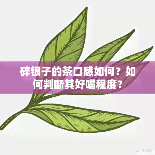 碎银子的茶口感如何？如何判断其好喝程度？