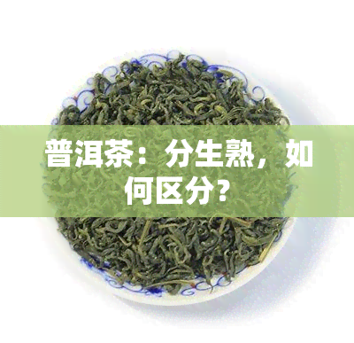 普洱茶：分生熟，如何区分？