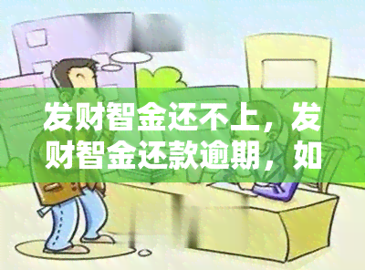 发财智金还不上，发财智金还款逾期，如何解决欠款问题？