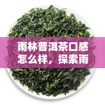 雨林普洱茶口感怎么样，探索雨林普洱茶的口感：一种独特的茶饮体验