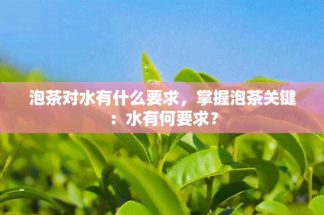 泡茶对水有什么要求，掌握泡茶关键：水有何要求？