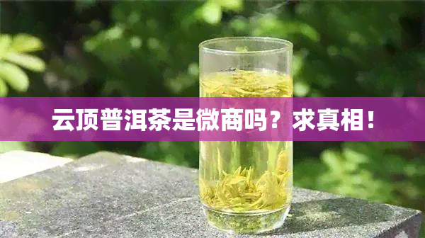 云顶普洱茶是微商吗？求真相！