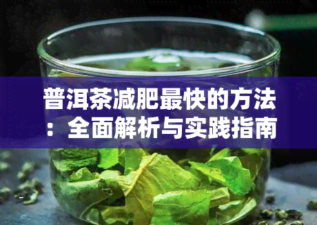 普洱茶减肥最快的方法：全面解析与实践指南