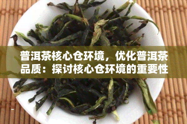 普洱茶核心仓环境，优化普洱茶品质：探讨核心仓环境的重要性