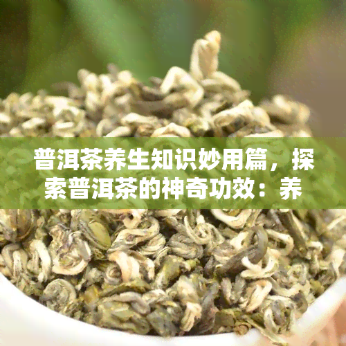 普洱茶养生知识妙用篇，探索普洱茶的神奇功效：养生知识与妙用解析