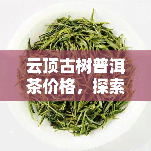 云顶古树普洱茶价格，探索云顶古树普洱茶的独特魅力：价格解析与品鉴指南