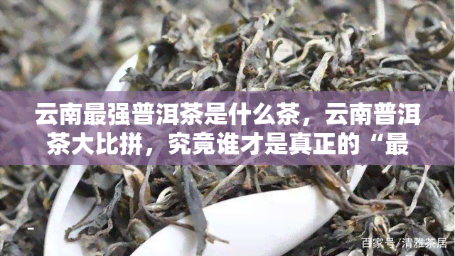 云南最强普洱茶是什么茶，云南普洱茶大比拼，究竟谁才是真正的“最强”？