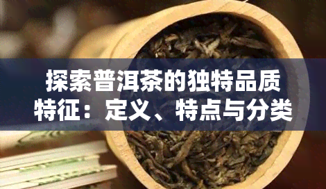 探索普洱茶的独特品质特征：定义、特点与分类