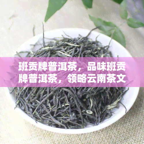 班贡牌普洱茶，品味班贡牌普洱茶，领略云南茶文化的独特魅力！