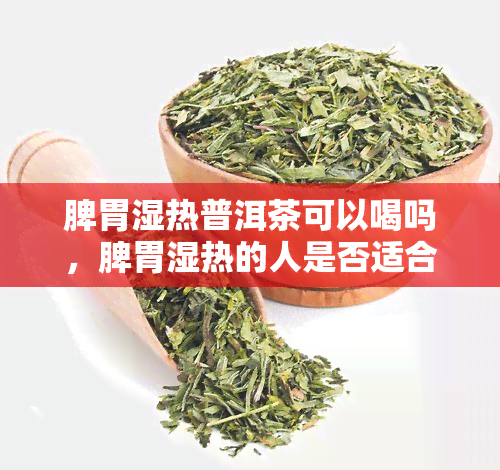 脾胃湿热普洱茶可以喝吗，脾胃湿热的人是否适合饮用普洱茶？