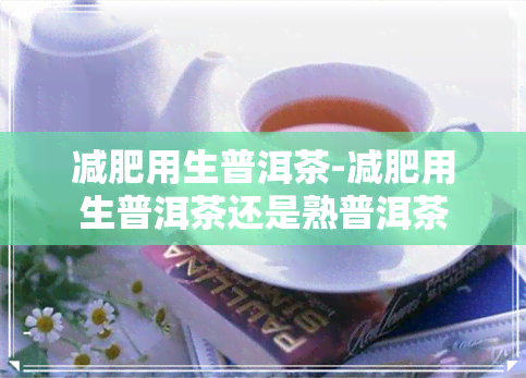 减肥用生普洱茶-减肥用生普洱茶还是熟普洱茶