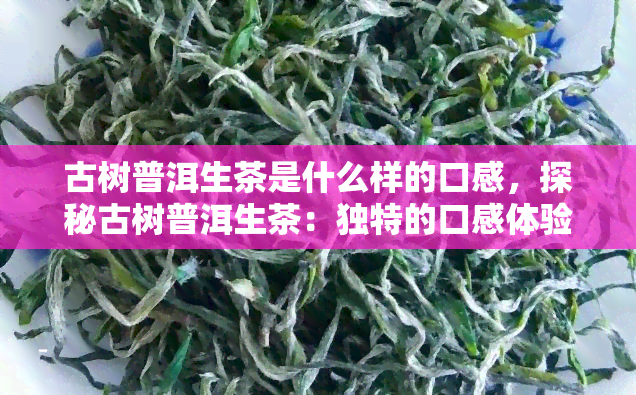 古树普洱生茶是什么样的口感，探秘古树普洱生茶：独特的口感体验