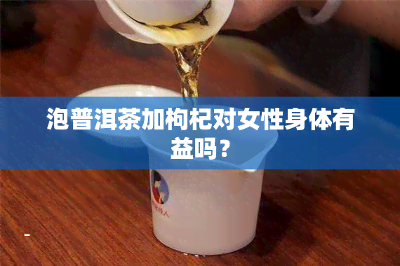 泡普洱茶加枸杞对女性身体有益吗？