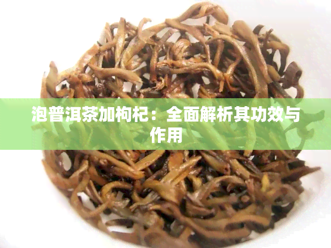 泡普洱茶加枸杞：全面解析其功效与作用