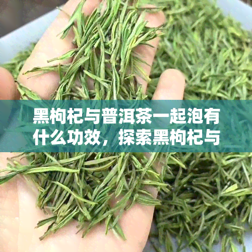 黑枸杞与普洱茶一起泡有什么功效，探索黑枸杞与普洱茶的独特搭配：揭示它们的神奇功效