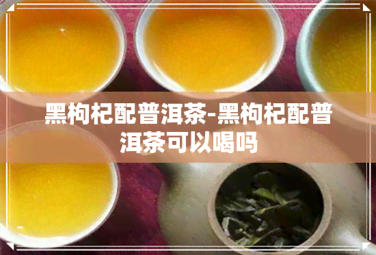 黑枸杞配普洱茶-黑枸杞配普洱茶可以喝吗