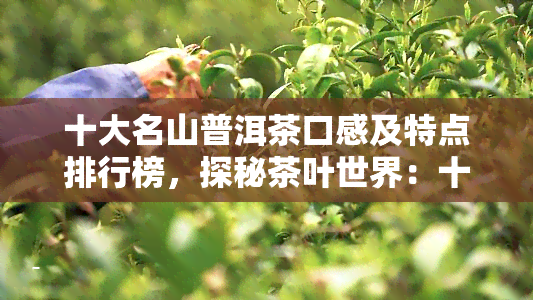 十大名山普洱茶口感及特点排行榜，探秘茶叶世界：十大名山普洱茶口感与特点排行榜