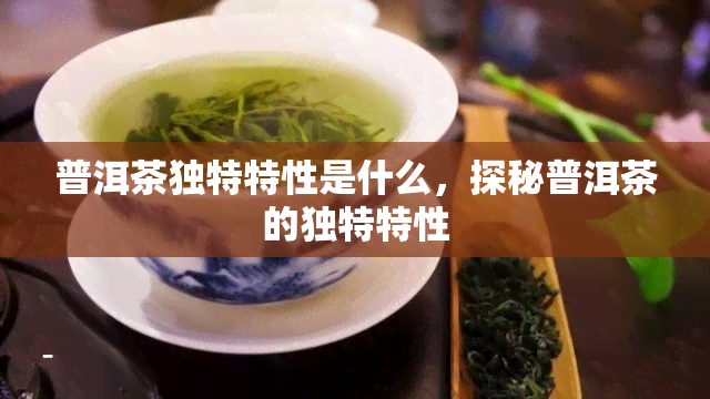 普洱茶独特特性是什么，探秘普洱茶的独特特性