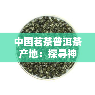 中国茗茶普洱茶产地：探寻神秘的茶叶之乡