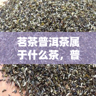 茗茶普洱茶属于什么茶，普洱茶是什么类型的茶叶？——解析茗茶中的普洱茶