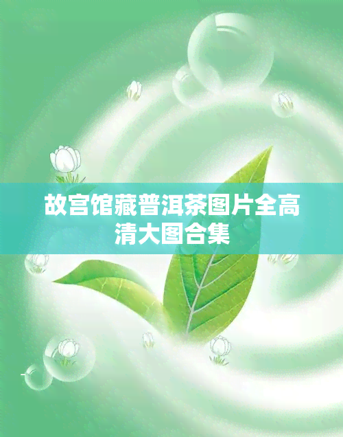 故宫馆藏普洱茶图片全高清大图合集