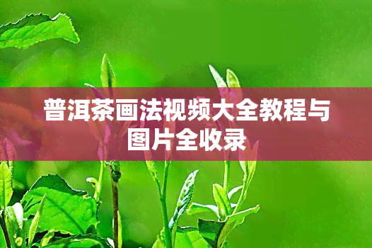 普洱茶画法视频大全教程与图片全收录