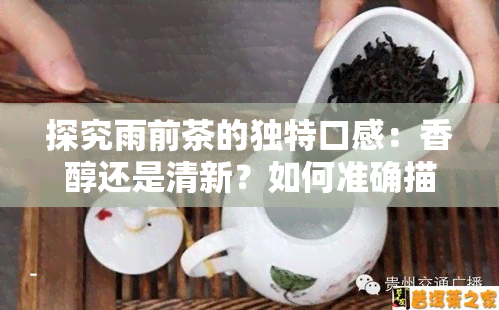 探究雨前茶的独特口感：香醇还是清新？如何准确描述其风味？