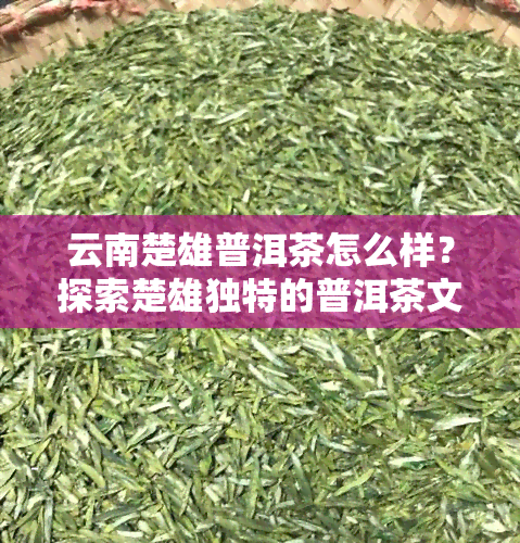 云南楚雄普洱茶怎么样？探索楚雄独特的普洱茶文化和购物体验！