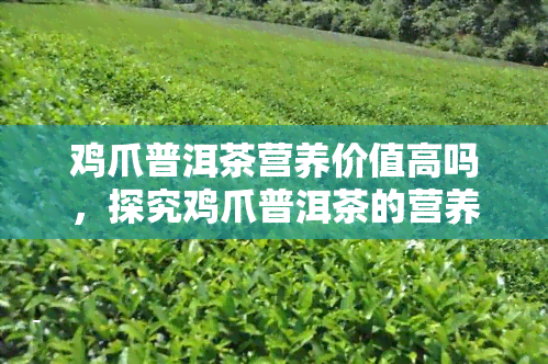 鸡爪普洱茶营养价值高吗，探究鸡爪普洱茶的营养价值，它真的很高吗？